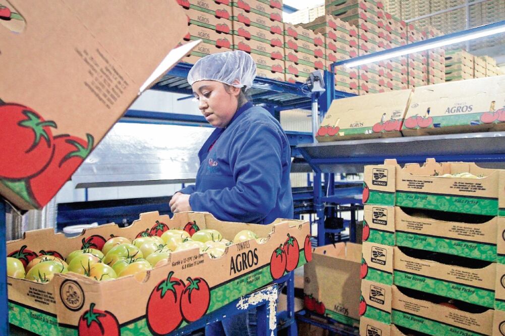 Cheaf anticipa que en Estados Unidos el arancel impactará en el precio final del alimento. Foto: ARCHIVO EL UNIVERSAL