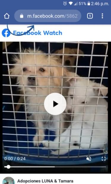 Paso a paso, así puedes descargar un video de Facebook