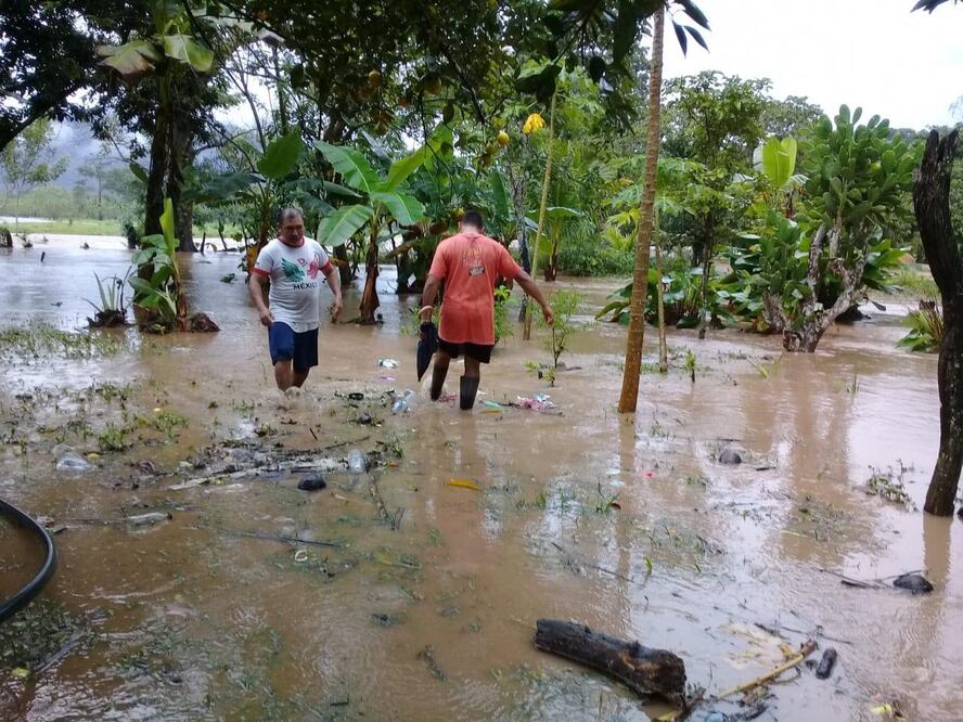 "Vicente" y un frente frío dejaron severas afectaciones en Oaxaca