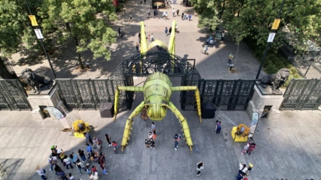 Inauguran INSECTA en el Jardín Botánico del Bosque de Chapultepec