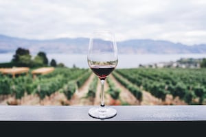 Qué es la Uva Michelin: la nueva distinción para viñedos y bodegas
