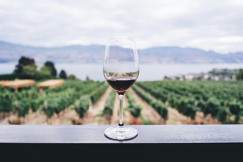 La Uva Michelin se enfoca más allá del sabor del vino. Foto: Unsplash