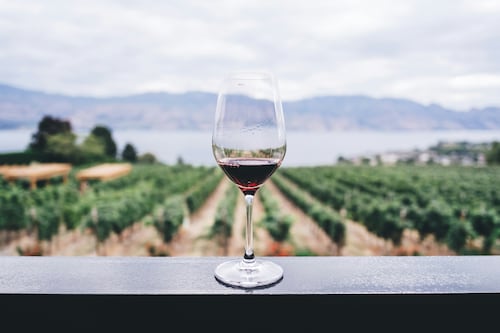 Qué es la Uva Michelin: la nueva distinción para viñedos y bodegas