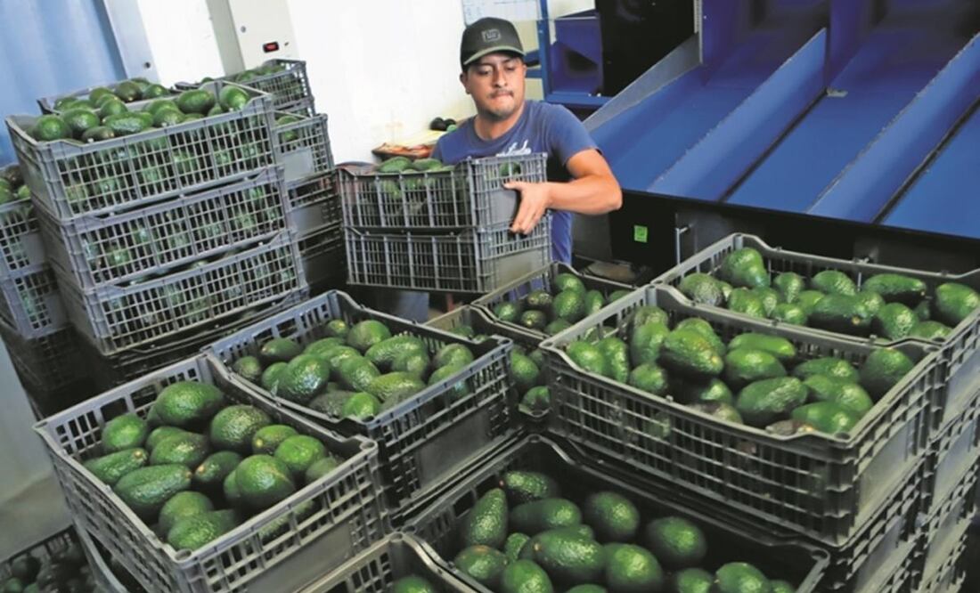 Foto: Archivo/ El Universal