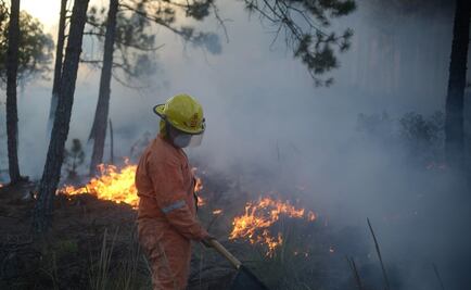 Muere brigadista tras combatir incendio forestal en Veracruz