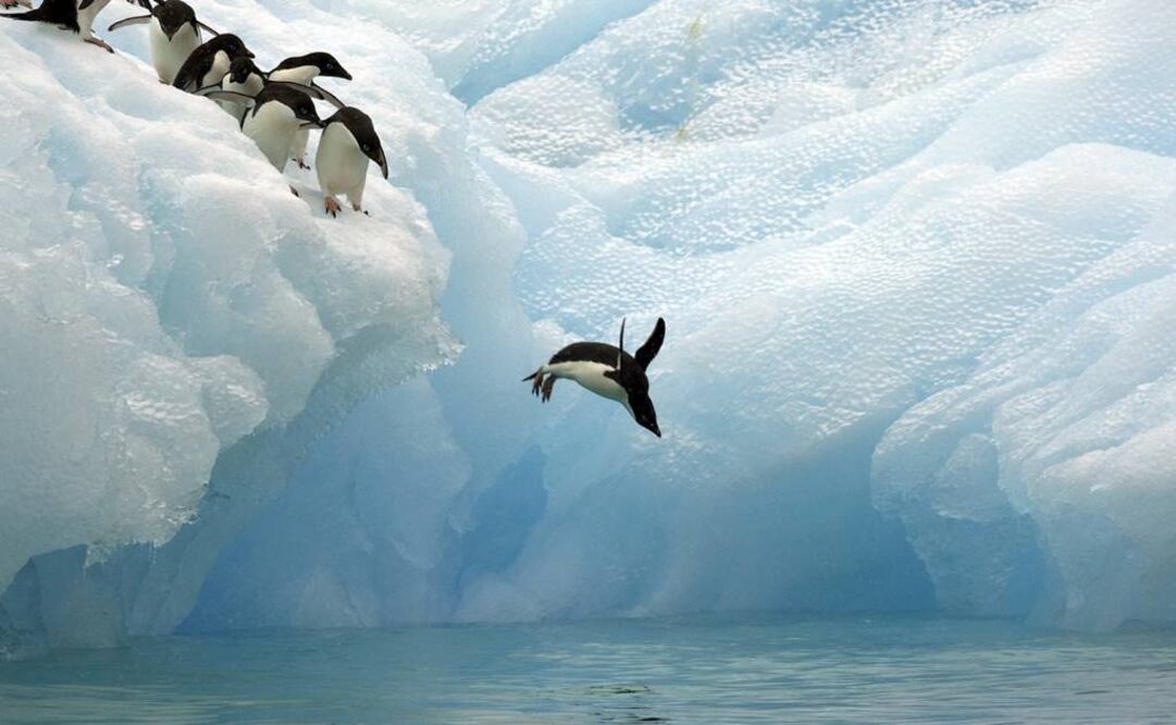 La existencia de civilizaciones antiguas en la Antártida es "totalmente imposible" puesto que se trata de un continente cuyas condiciones hacen imposible la supervivencia del ser humano. FOTO: Archivo.