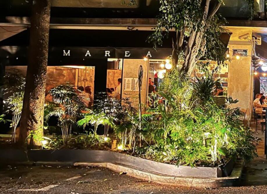 Marea, restaurante de la chef Lula Martín del Campo. Foto: Especial