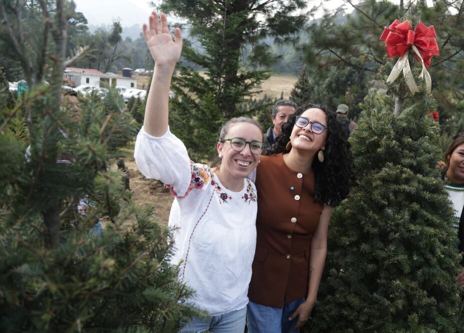 La secretaria del Medio Ambiente de la Ciudad de México, Julia Álvarez Icaza, junto a la alcaldesa de Tlalpan, Gabriela Osorio, encabezaron el corte de pinos de Navidad. (Foto: Carlos Mejía/ EL UNIVERSAL)