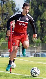 Rojinegros merodean clasificación