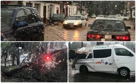 Lluvias dejan 4 lesionados y árboles caídos en Tzintzuntzan, Michoacán