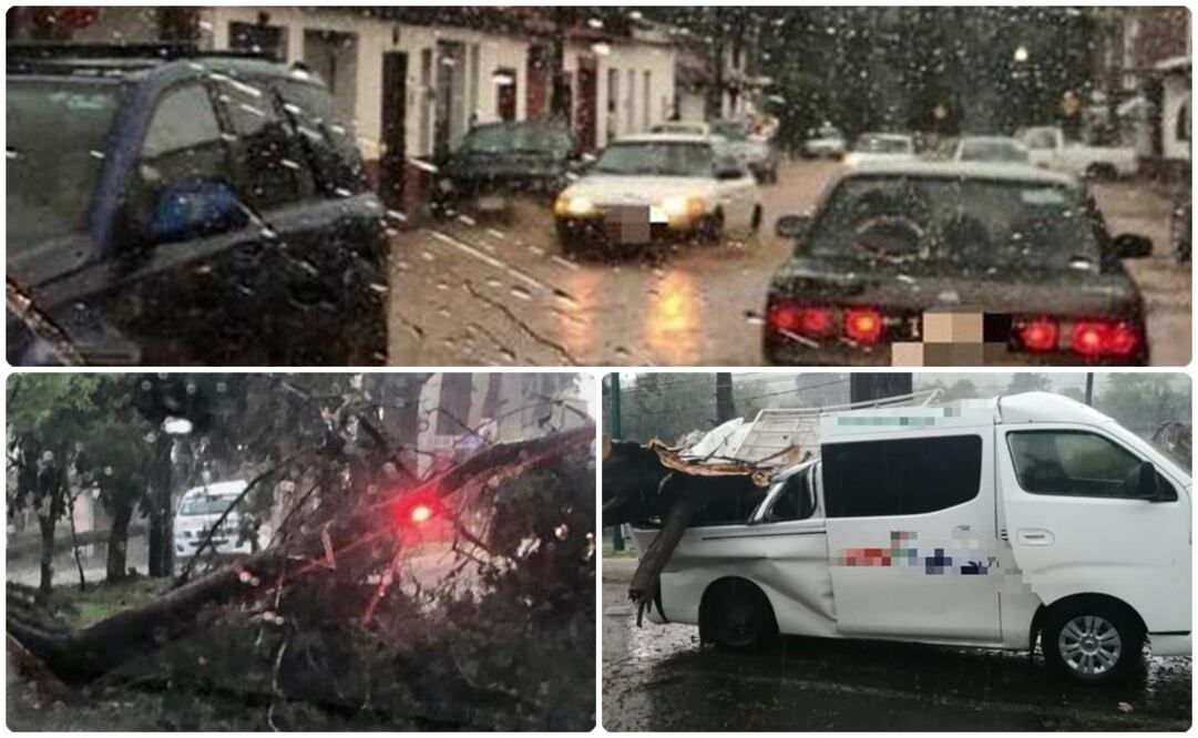 Un árbol cayó sobre un vehículo del transporte público, donde cuatro personas resultaron lesionadas. Fotos: Especiales