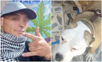 Vinculan a proceso por crueldad animal a "El Orejas", agresor de pitbull