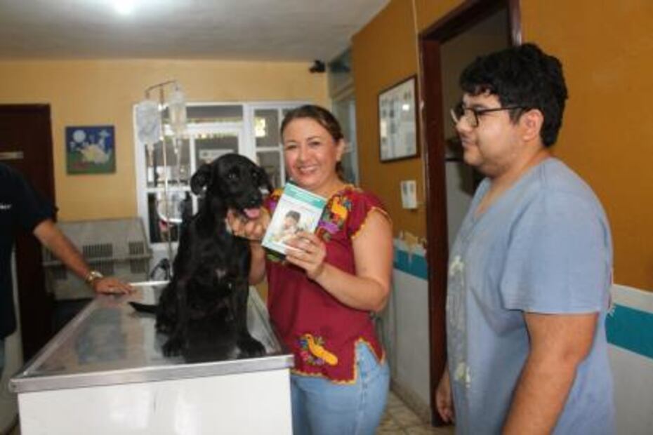 Encuentran a perrita pateada por maratonista en Yucatán