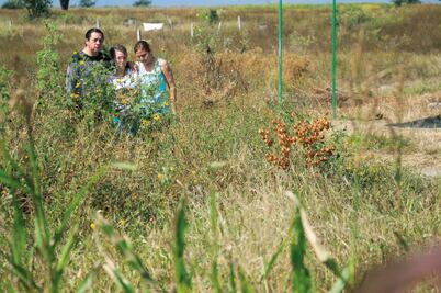 Presumen activistas la existencia de otra fosa