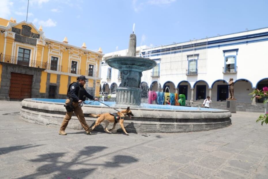 Escuadrón canino de Puebla asegura drogas y armas