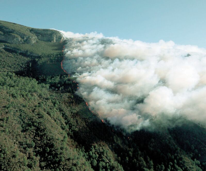 El fuego se ha visto favorecido por la abundancia de hojarasca, hierbas y pasto seco en la región. Foto: EFE.