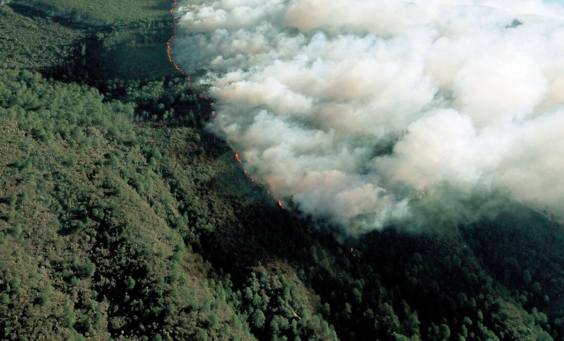 El fuego se ha visto favorecido por la abundancia de hojarasca, hierbas y pasto seco en la región. Foto: EFE.