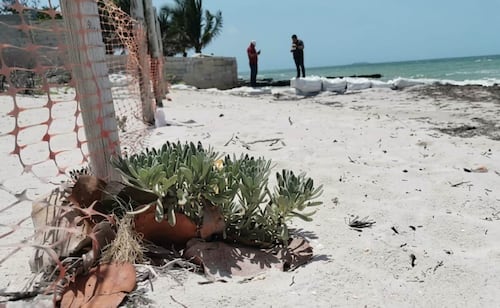 Five Properties Closed in Yucatán Reserves for Damaging Mangroves and Dunes