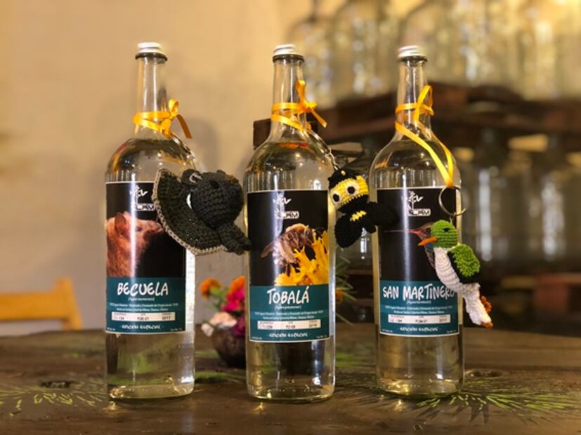 Proyecto LAM, el legado de Lorenzo Ángeles Mendoza