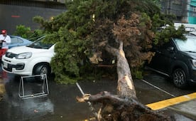 Lluvias derriban poste y árbol en la alcaldía Cuauhtémoc; vehículo resulta afectado