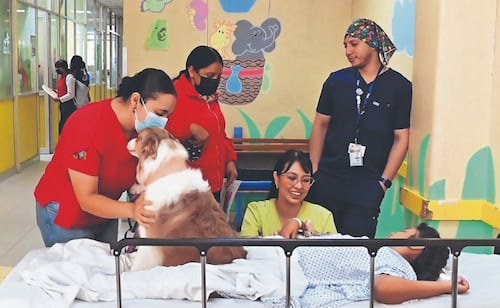 Dogs help reduce stress for pediatric patients in Mexican hospitals