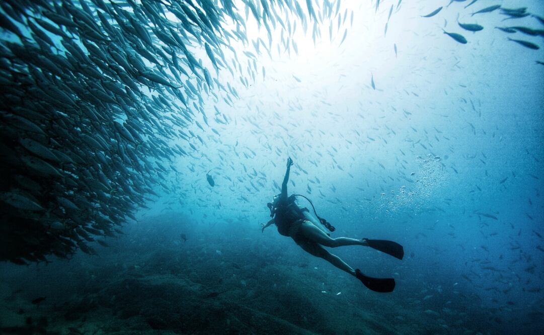 Cabo Pulmo forma parte del Patrimonio de la Humanidad. (Foto: Fideicomiso de Turismo Estatal de Baja California Sur)
