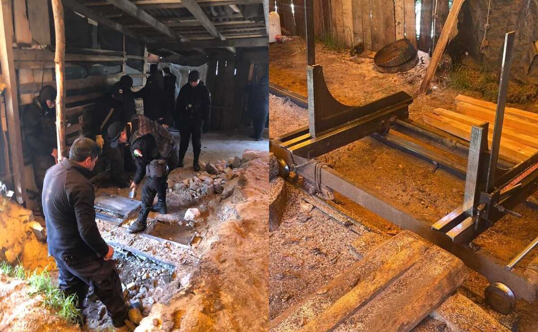 Las autoridades no hallaron maquinaria correspondiente a un aserradero, salvo una camioneta doble rodada sin indicios de carga de madera o similar, así como corrales de ganado. Foto: Especial