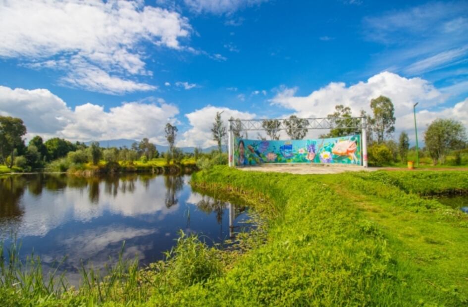 Tours y visitas gratis a atractivos de la CDMX: cómo registrarse