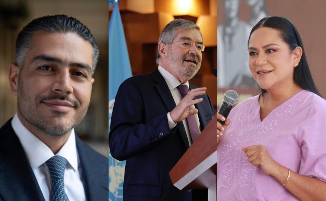 Los secretarios de Seguridad y Protección Ciudadana, Relaciones Exteriores y Bienestar, Omar García Harfuch, Juan Ramón de la Fuente y Ariadna Montiel Reyes. Fotos: X @OHarfuch, @SRE_mx y @A_MontielR
