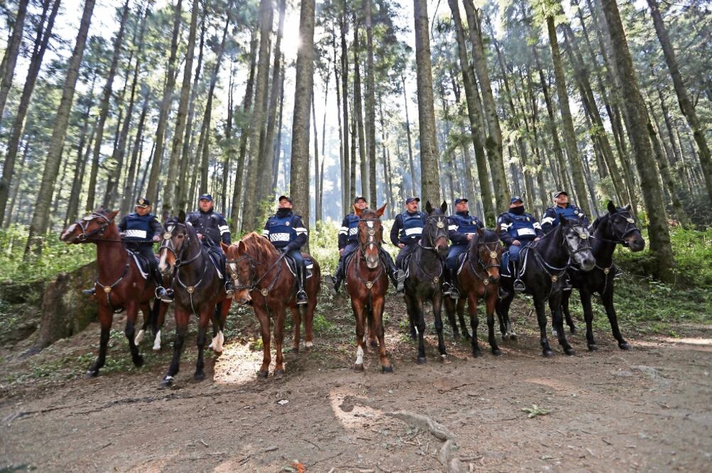 Nueve agentes de la Policía Montada están asignados a la zona del Pantano, pasando por La Pila, Monte de las Cruces, hasta el Desierto de los Leones. (VALENTE ROSAS. EL UNIVERSAL)