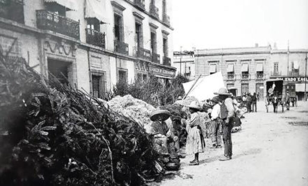 El árbol pagano que conquistó la Navidad