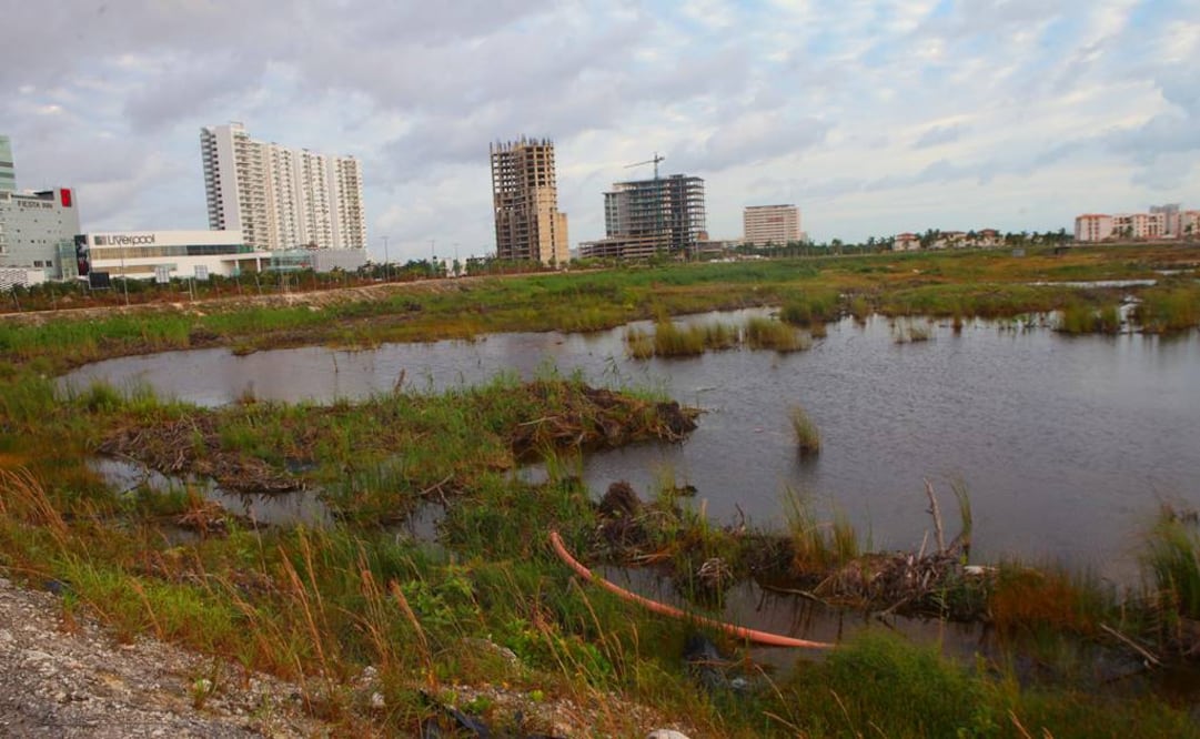 Foto: Archivo EL UNIVERSAL