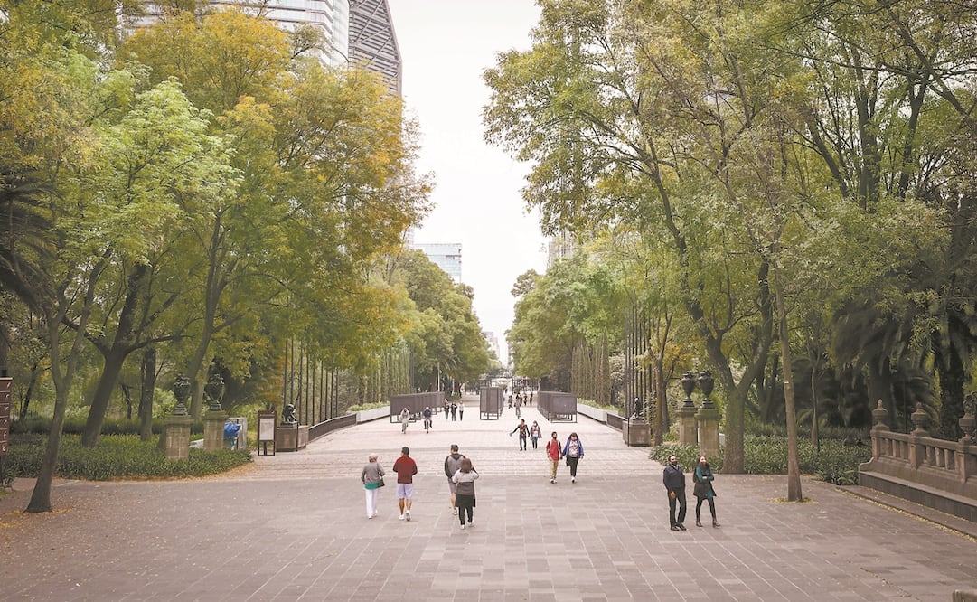 Foto: ARCHIVO EL UNIVERSAL