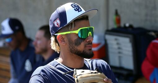 Dominicanos imponen récord en Grandes Ligas