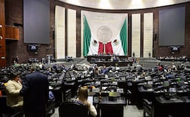 Diputada de Morena propone destinar 20% de candidaturas a jóvenes; pide consolidar representación democrática