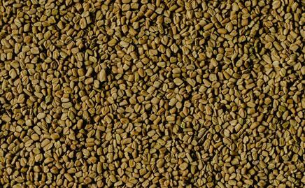 ¿Qué es el fenogreco y cuáles son sus beneficios?