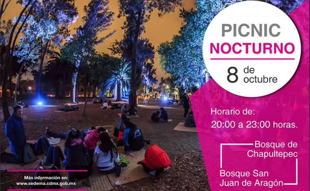 Un picnic nocturno te espera en el Bosque de Chapultepec
