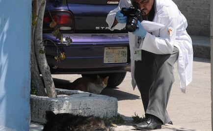 Sentencian a sujeto por matar a perro en el DF