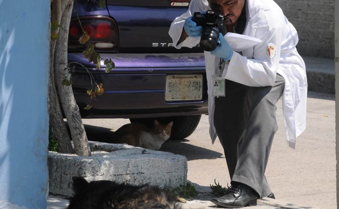 (Foto: Archivo EL UNIVERSAL)