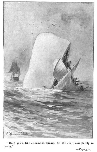 Ilustración de Moby Dick, en una edición de la novela de 1892.
