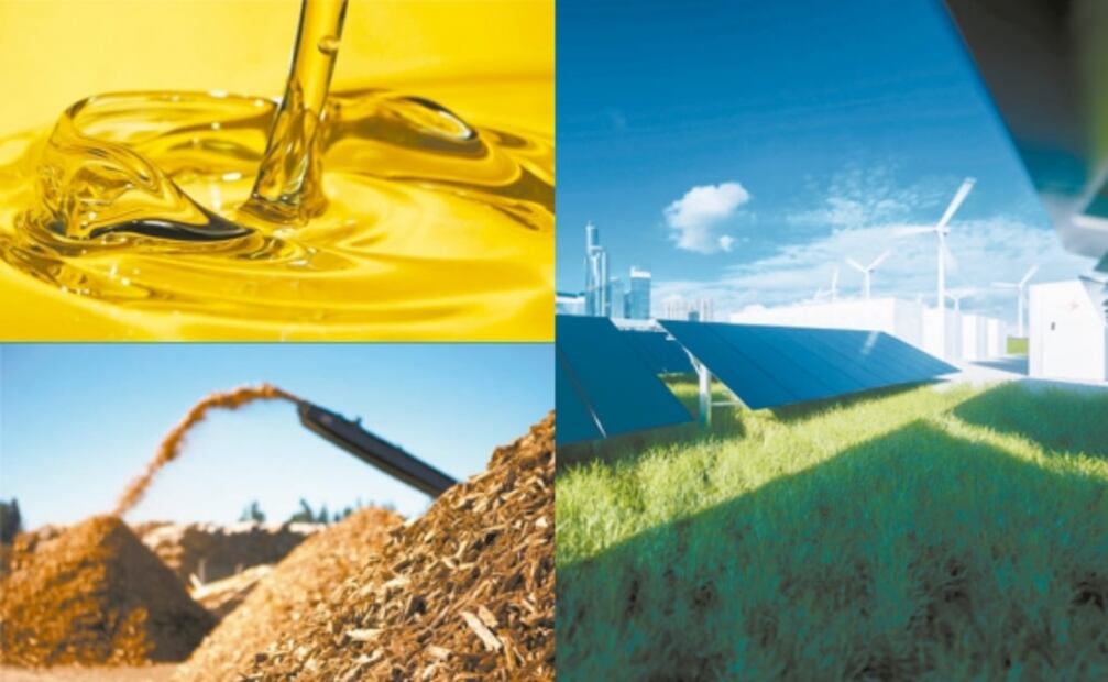 ¿Cuál es el potencial de México en energía renovable?