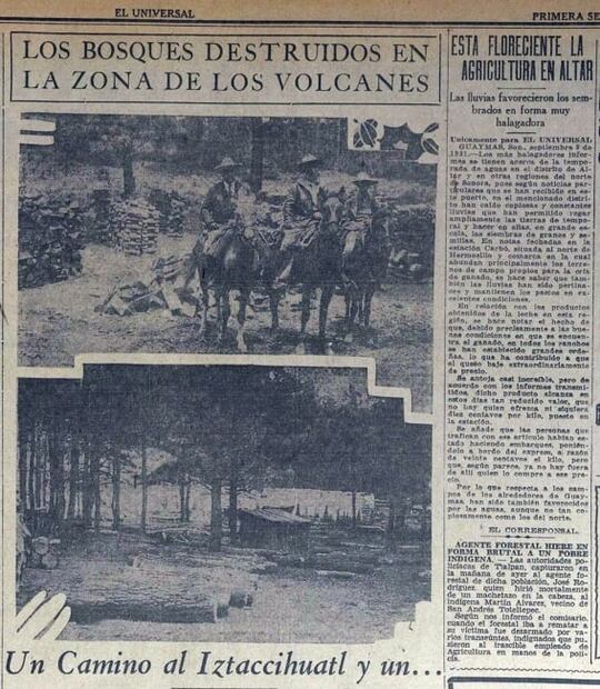 Tala ilegal, un viejo problema en México