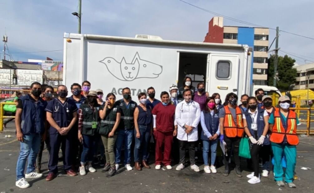 Trasladan a Hospital Veterinario a 35 gatos rescatados durante incendio en Mercado Sonora