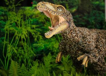 Museo expone un dinosaurio que vivió en territorio venezolano hace 201 millones de años