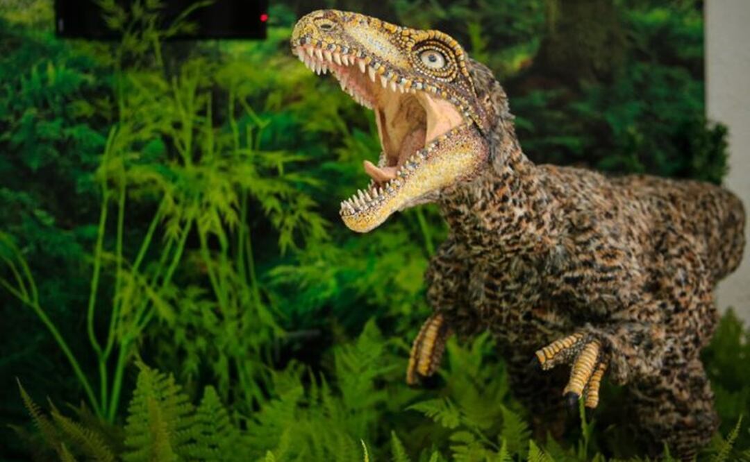 El Museo de Ciencias de Caracas expone una especie de dinosaurio. Foto MinCiencia