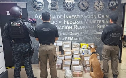 Aseguran 92 paquetes de droga en empresa de envío en Tuxtla Gutiérrez; hay tres detenidos