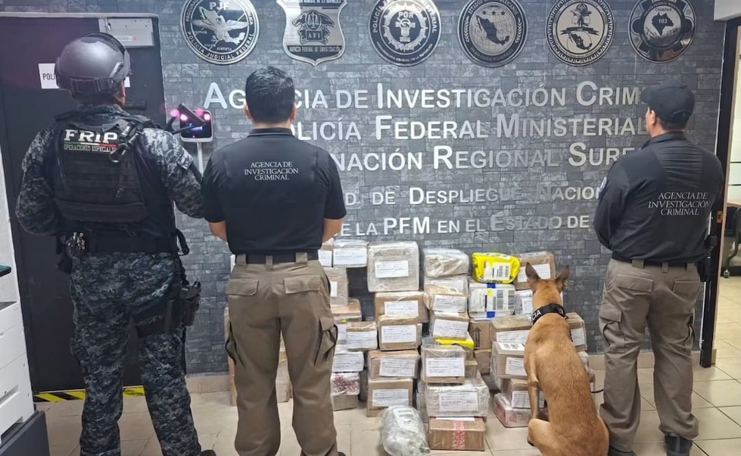 Fuerzas militares y de seguridad, con apoyo de caninos, aseguraron 58 paquetes de droga en una empresa de paquetería en Tuxtla Gutiérrez. | Foto: Especial.