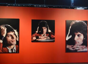 Exhiben fotografías inéditas de Queen en México