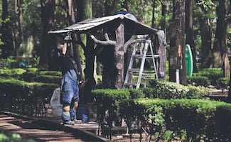 Cuauhtémoc rehabilitará 83 bancas en Parque México