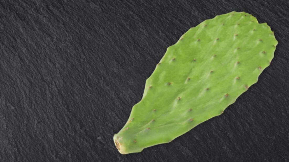 Conoce los 50 alimentos del futuro